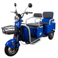 Triciclo Elettrico per Passeggeri con Panca Doppia Bendis TRCC1200 EvoTools®